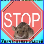 Дезостанция«ВИКТОРИЯ»,  уничтожение  мышей в Алматы и области.