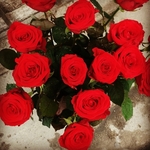 Красные розы 50-55 см 