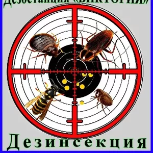 Дезостанция«ВИКТОРИЯ»,  дезинсекция (уничтожение насекомых) в Алматы.