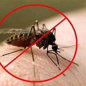 Борьба. Уничтожение комаров в Алматы и Алматинской области