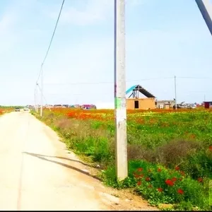 продам участок в Илийском районе,  возле Ащыбулака