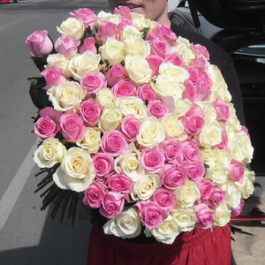 Букет 101 белая и розовая роза,  высота 60 см