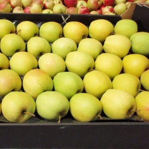 Яблоки из Польши разных сортов.