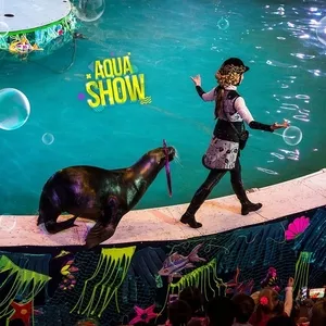 100 билетов на выступление красочного Aqua Show