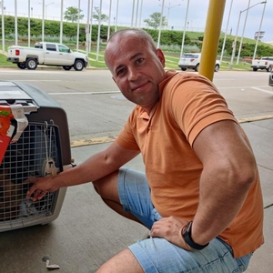 Перевозка животных в Америку и Европу