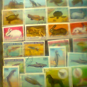 продам почтовые марки гашенные и негашенные