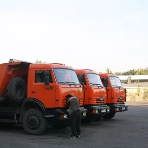 Сдам в аренду спецтехнику