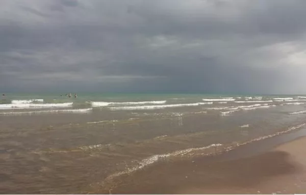 Крестьянское хозяйство (фазенда) на Капчагайском водохранилище. 5