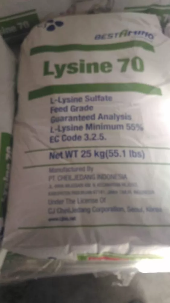 Лизин     (L-Lysine)