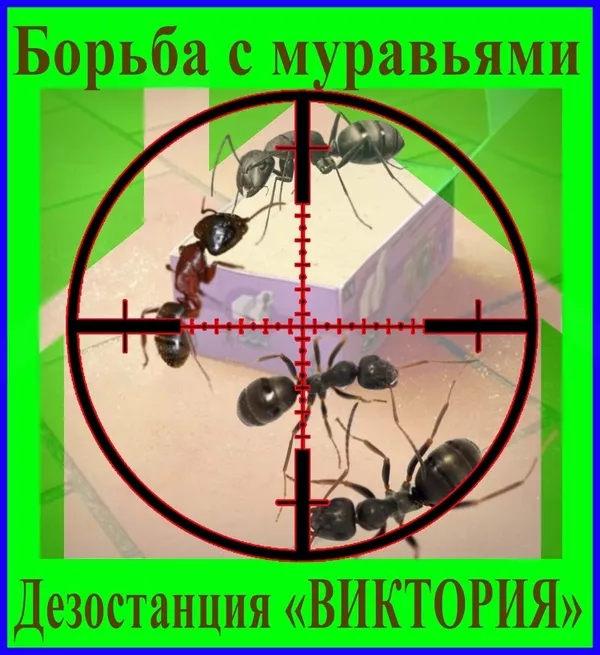 Дезостанция«ВИКТОРИЯ», уничтожение грызунов , насекомых 5