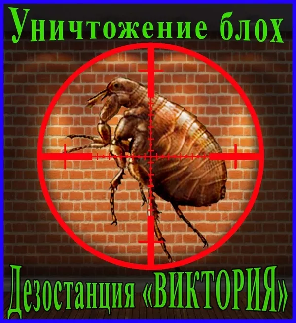 Дезостанция«ВИКТОРИЯ», уничтожение грызунов , насекомых 8