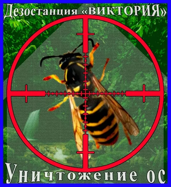 Дезостанция«ВИКТОРИЯ», уничтожение грызунов , насекомых 9