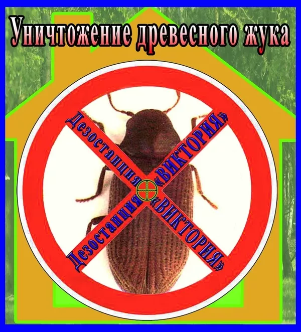 Дезостанция«ВИКТОРИЯ»,  уничтожение древесного жука (короеда) в Алматы.