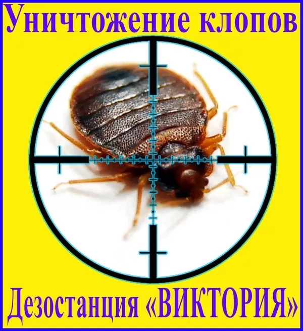Дезостанция«ВИКТОРИЯ»,  уничтожение,  клопов в Алматы и области.