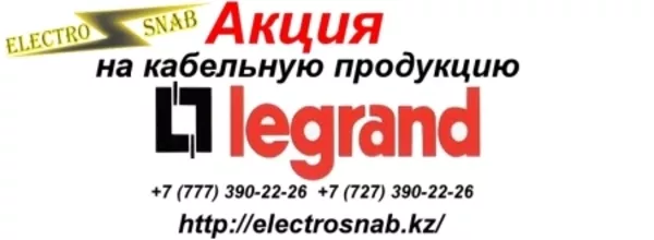 Сетевое оборудование Legrand