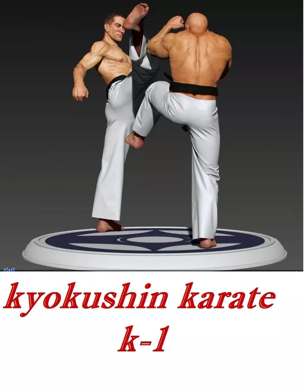 приглашаем на уроки карате Киокушин К-1