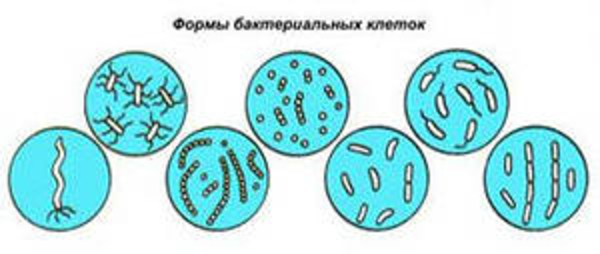 Дезинфекция водопроводов 4