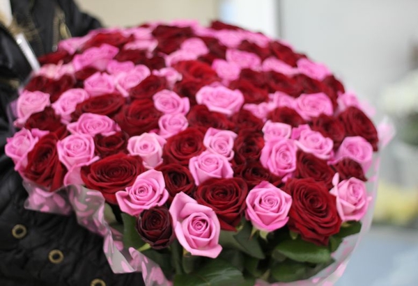 Букет из  101 розы розового и красного цвета 50 см