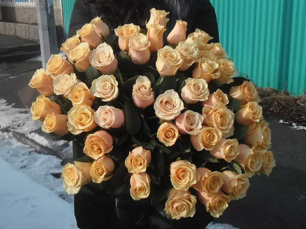 Букет 51 кремовая роза 50 см