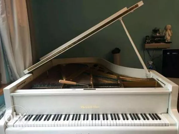 Настройка пианино, рояля, ремонт и предосмотр перед покупкой пианино 5