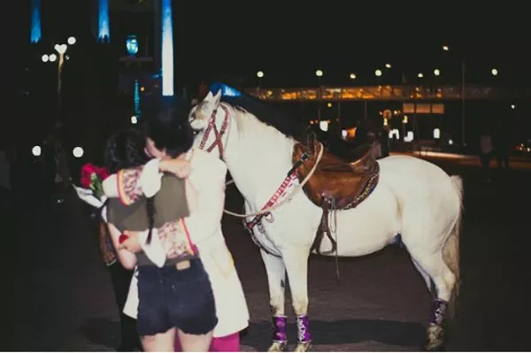 аренда лошади в Алматы               3