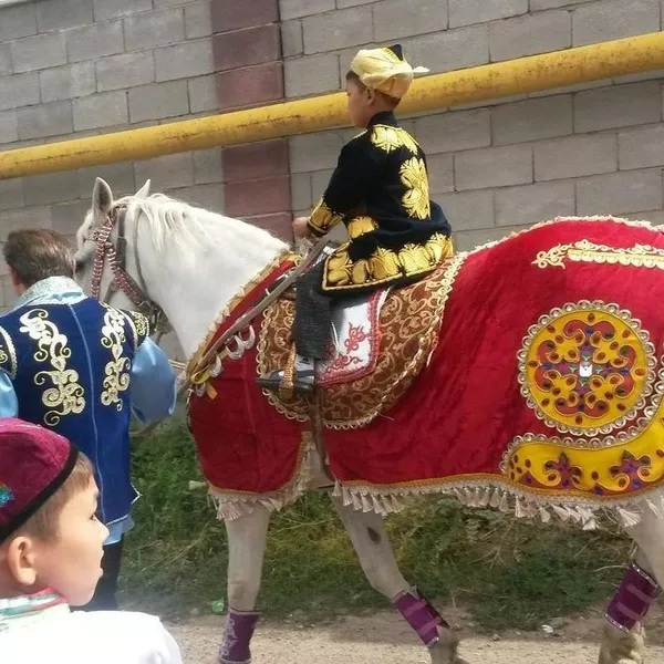 аренда лошади в Алматы               4