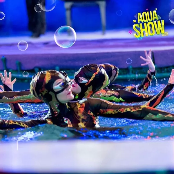 100 билетов на выступление красочного Aqua Show 3
