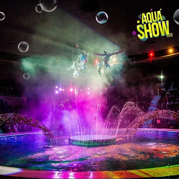 100 билетов на выступление красочного Aqua Show 4