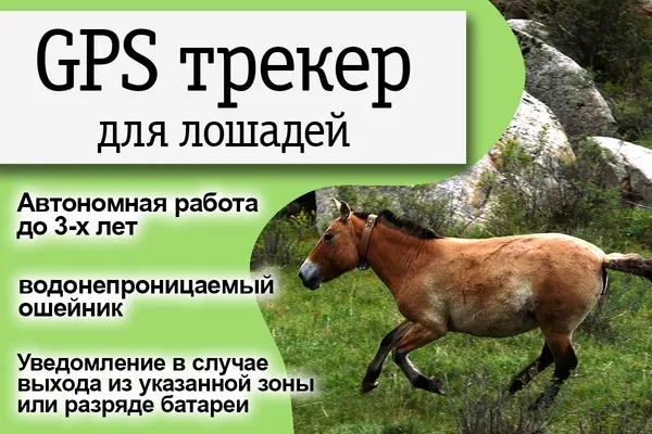 GPS трекер маяк в Казахстане. 2