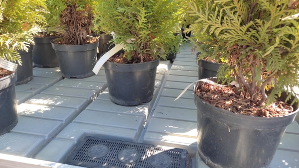Стол для выращивания растений с откатной крышкой.