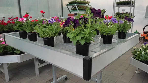 Вегетационные столы для выращивания рассады 4