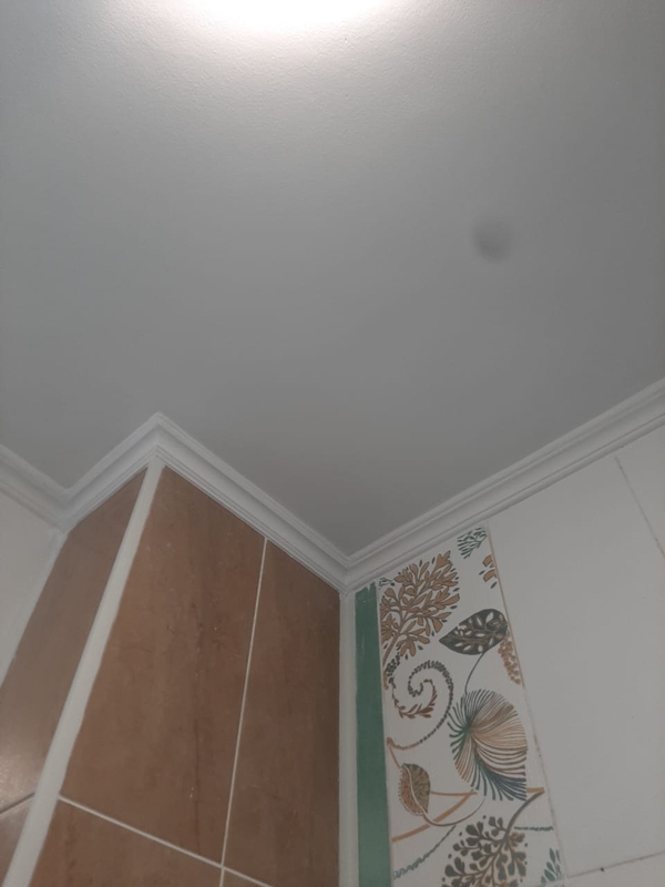 Удаление пятен на потолке 100% гарантия 2