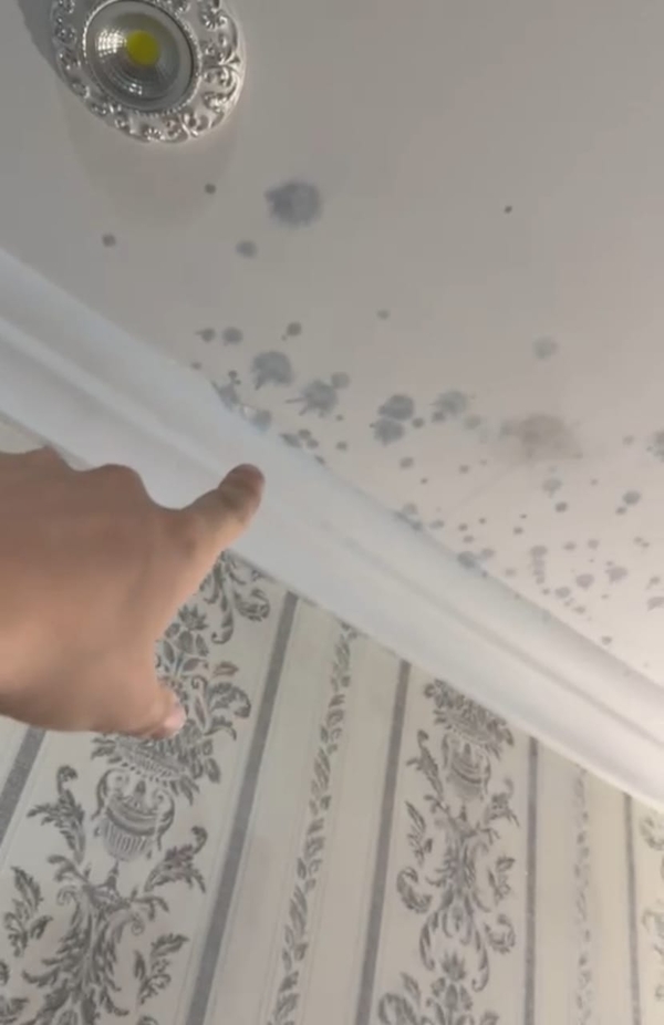 Удаление пятен на потолке 100% гарантия 3