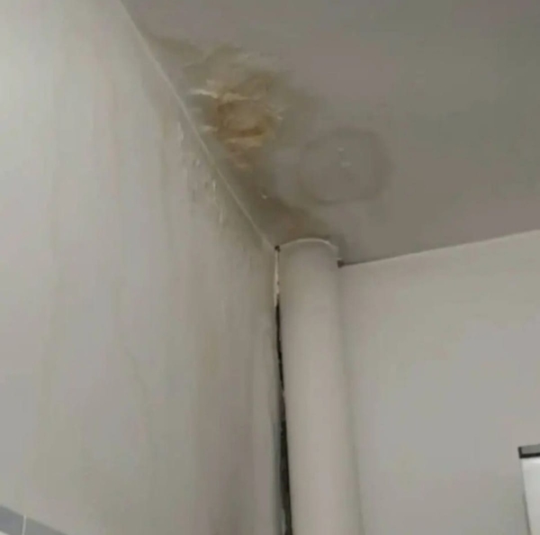 Удаление пятен на потолке 100% гарантия 5