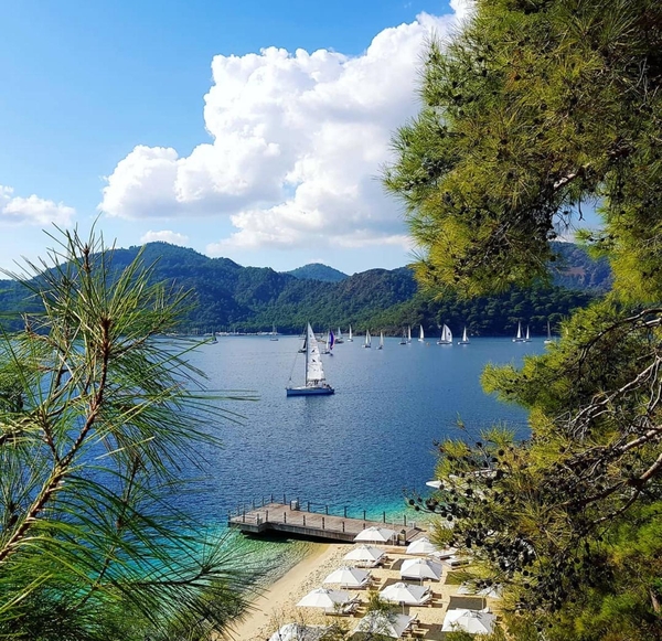 ADL Invest: недвижимость в Турции — быстро, надёжно, под ключ