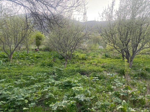 Продам участок в Иле-Алатауском национальном парке 3