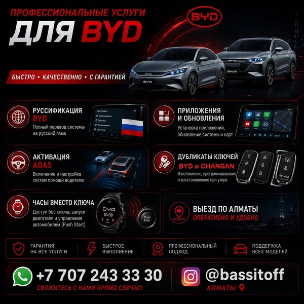 BYD профессиональные услуги в Алматы.