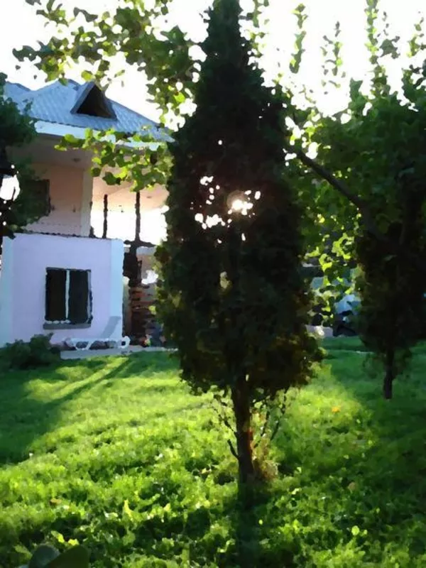 Продается дом в экологически чистом районе Достык-Оспанова