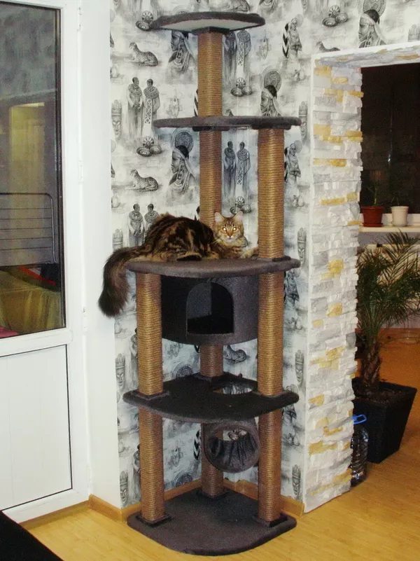 разборные домики для кошек на основе бруса 5