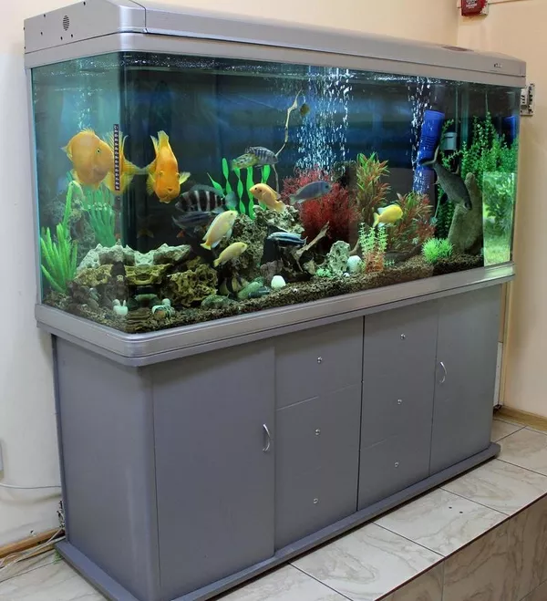 Продается шикарный аквариум с рыбками 3