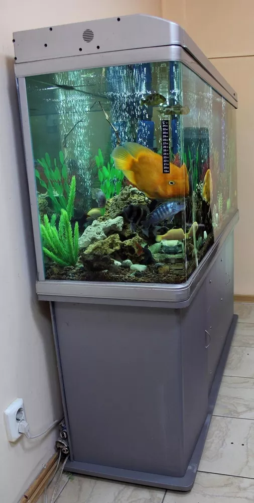 Продается шикарный аквариум с рыбками 4