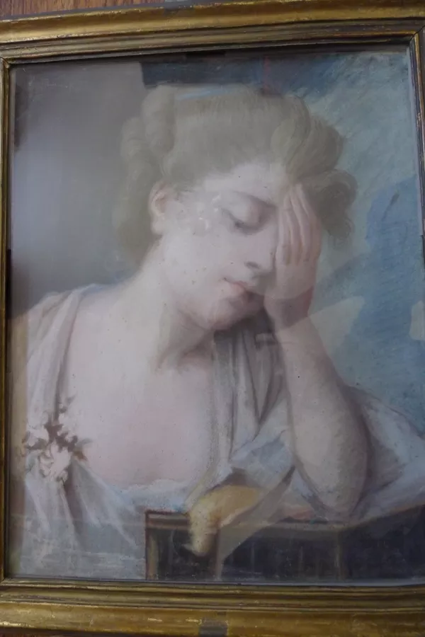 Девушка,  18 век,  Пастель на коже