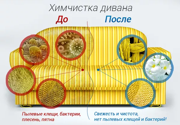 Профессиональная уборка после ремонта. Химчистка мебели 2