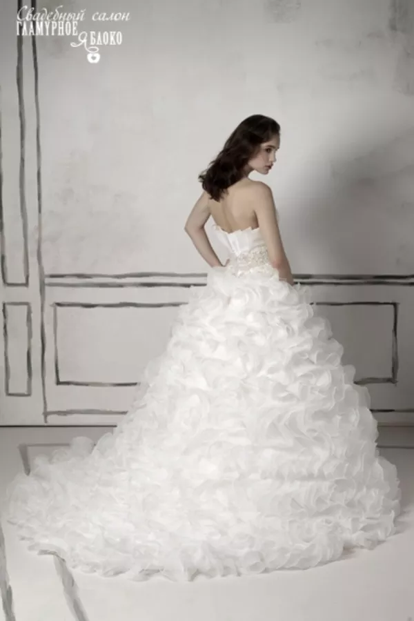 свадебное платье от торговой марки Justin Alexander модель 8484 3