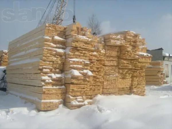 Оптовые поставки леса из Восточного Казахстана 2