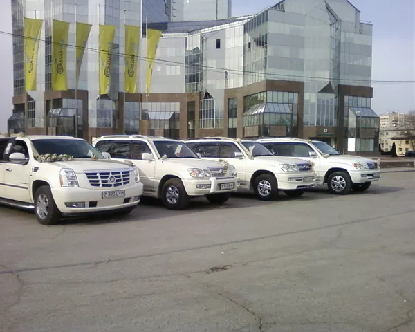 AVTO VIP прокат лимузинов кортежи украшения 5