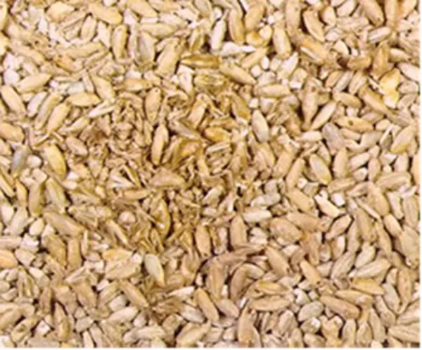 Тарированная пшеница 5го класса