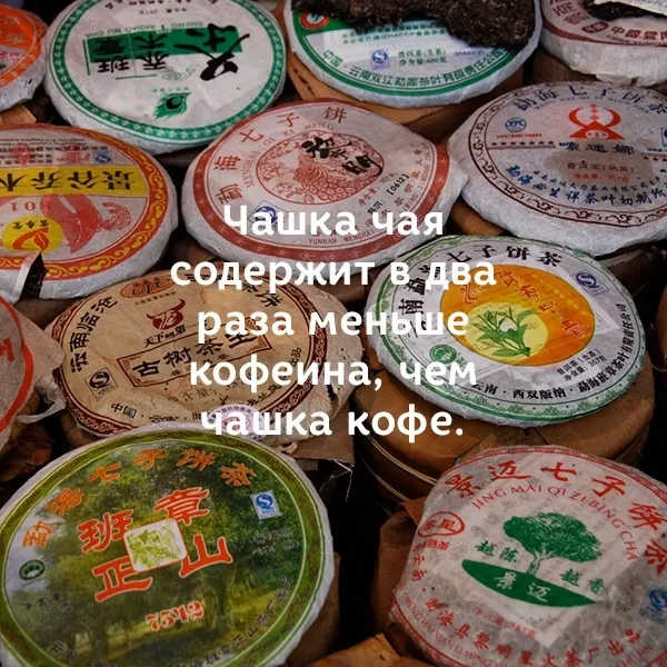 Натуральный китайский чай в Алматы!  2