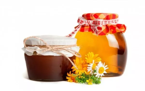 мед из Восточного Казахстана