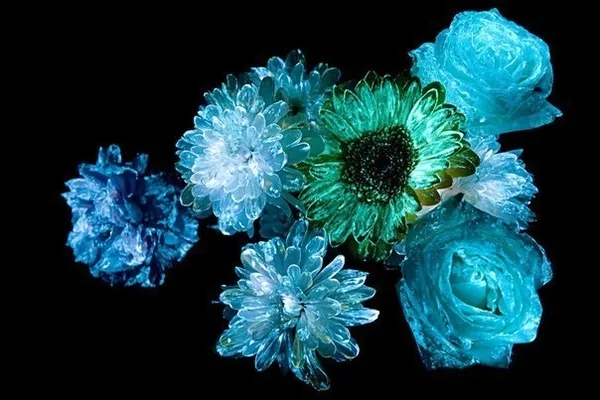 Флористическая краска (био-гель) для цветов светящаяся в темноте 3
